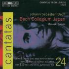 jaquette CD Cantatas - Volume 24 - bwv 8 - bwv 33 - bwv 113