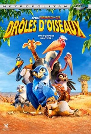 Drôles d'Oiseaux