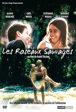 Couverture de Les Roseaux sauvages