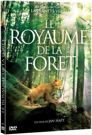 Le Royaume de la Forêt