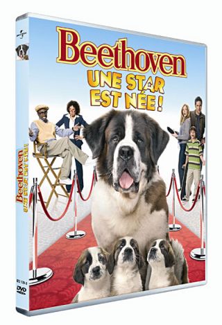 Beethoven, Une Star est née Beethoven 4