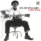 I got wild | Big Joe Williams (1903-1982). Compositeur