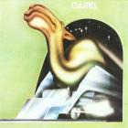 Camel | Camel. Interprète