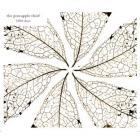 3000 days | The Pineapple Thief . Interprète