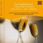 Ein neujahrskonzert : a new year's concerto