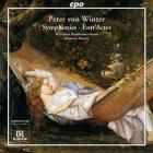 Symphonies - entr'actes