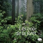 jaquette CD Les voix de la forêt