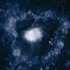 My father will guide me up a rope to the sky | Swans. Musicien