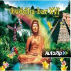 Buddha Bar - Volume 16
