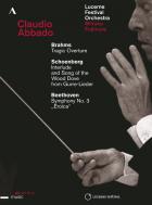 Abbado & lucerne festival orchestra