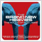 The sound of acid jazz | The Brand New Heavies . Musicien
