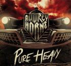 Pure heavy | Audrey Horne. Musicien