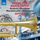 Mendelssohn - Schumann - Bruckner - Brahms