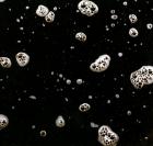 Nothing important | Richard Dawson (19..-....) - musicien. Chanteur