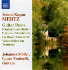 Guitar duets