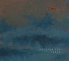 Ypres | Tindersticks. Musicien