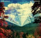 Innerspeaker | Tame impala. Musicien