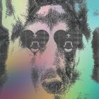 Boys | Crocodiles. Musicien