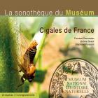 Cigales de france - la sonothèque du muséum