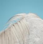 All yours | Widowspeak. Musicien