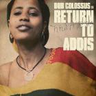 Return to addis | Dub Colossus . Musicien
