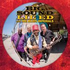 The big sound of Lil' Ed and The Blues Imperials