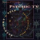Allegory and self | Psychic TV. Musicien