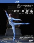 David Hallberg au Bolchoï