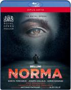 Norma