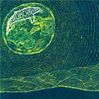 Superorganism | Superorganism. Musicien