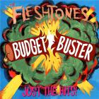 Budget buster | The Fleshtones. Musicien