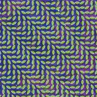 Merriweather post pavilion | Animal collective. Musicien