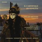 Il carnavale di Venezia
