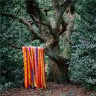 The animal spirits | James Holden. Compositeur