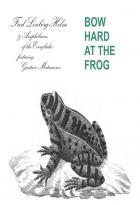 Bow hard at the frog | Fred Lonberg-Holm. Musicien