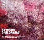 jaquette CD À l'ombre d'un ormeau