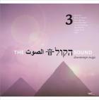 jaquette CD The sound - Volume 3 - downtempo magic