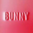 Bunny | Matthew Dear. Interprète