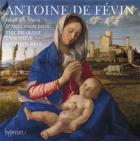 jaquette CD Antoine de Févin : missa ave Maria - missa salve sancta parens