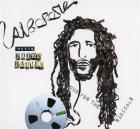 Meets roots radics, dub for the radicals | Alborosie. Interprète