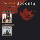 What's up tiger lily + You're A Big Boy Now | Lovin' spoonful. Musicien