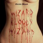 Wizard bloody wizard