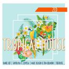 Tropical house