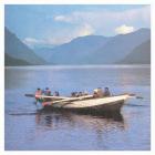 Calendar | Motorama. Musicien