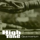 Opus incertum | High Tone. 