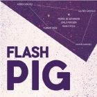 Flash Pig