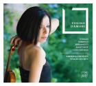 jaquette CD Violino d'amore - Violin concertos