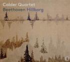 Beethoven Hillborg | Ludwig van Beethoven. Compositeur
