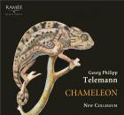 jaquette CD Chameleon