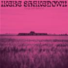 Kings left behind | Ikebe Shakedown. Musicien